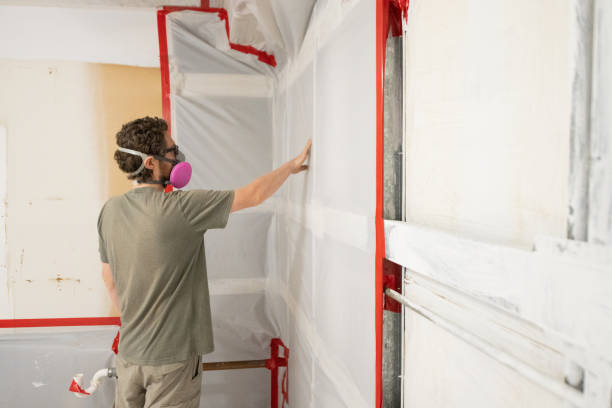 Best Environmental Consulting for Mold Prevention  in Coaldale, PA
