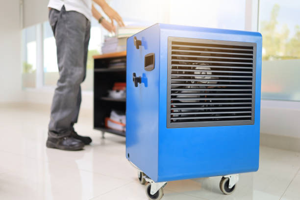 Best Air Quality Testing for Mold Spores  in Coaldale, PA