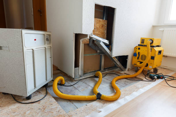 Best Indoor Air Quality Assessment  in Coaldale, PA