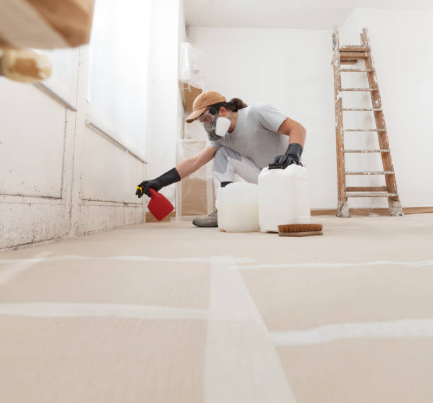 Best Mold Prevention Services  in Coaldale, PA