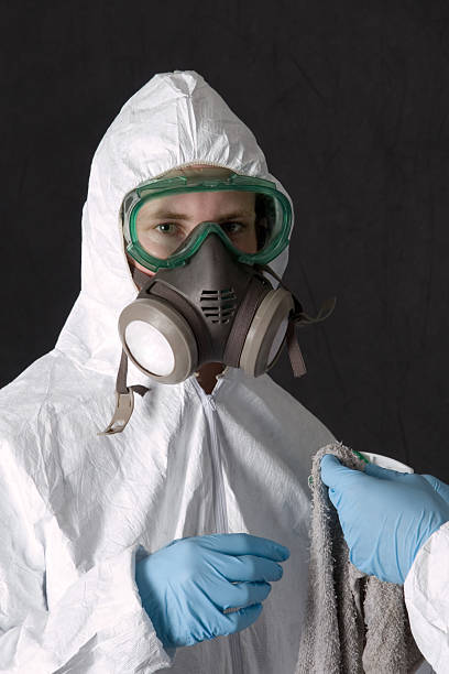 Best Mold Documentation for Insurance Claims  in Coaldale, PA